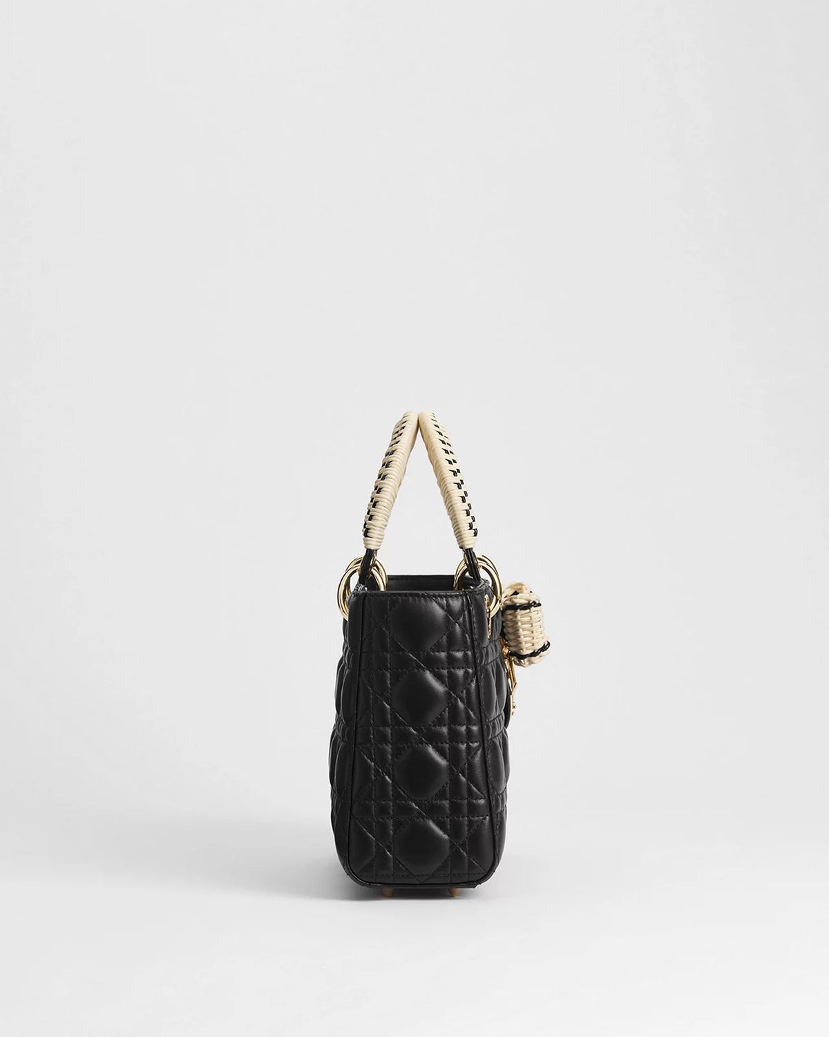 DIOR Dioriviera Small Lady