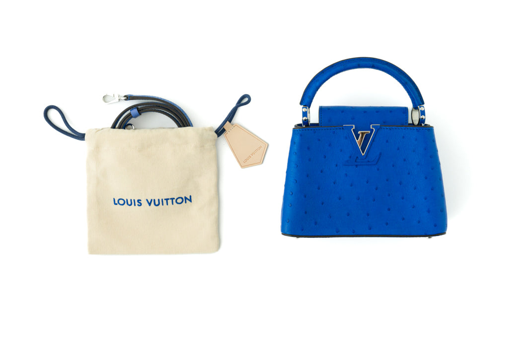 Louis Vuitton Capucines Mini bag in sapphire blue ostrich — styling view | La Parisienne Qatar